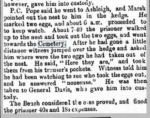 18860731 Totnes Weekly Times 31 July 1886 2