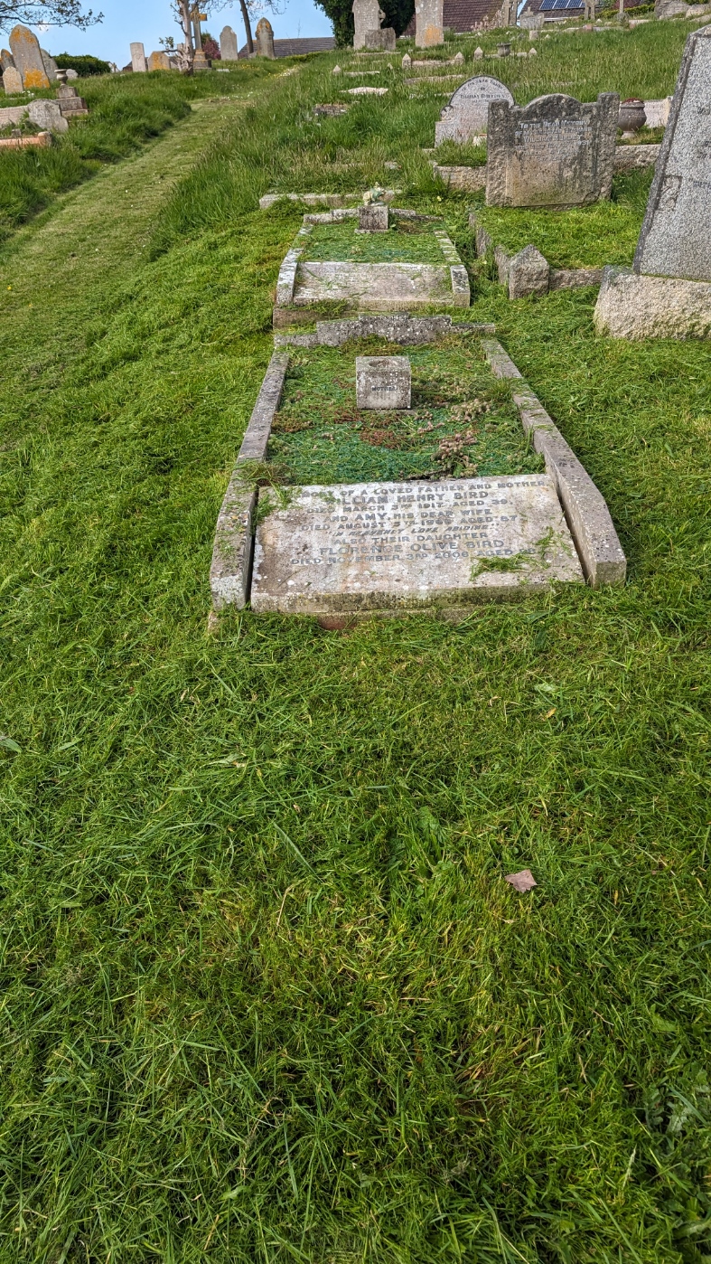 2024.04.21 Mavis graves strimmed today