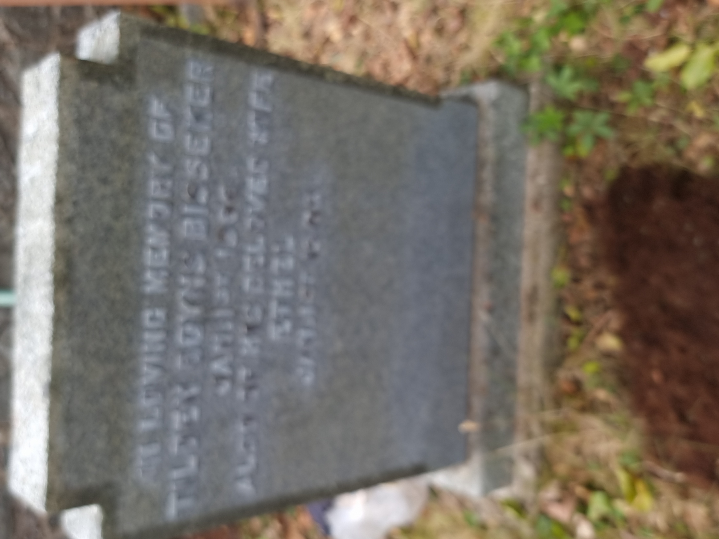 Ethel and Tilden Boyns Bisseker