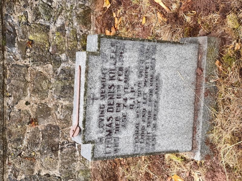 Thomas Denis Killeen died 11th Feb 1962 aged 74