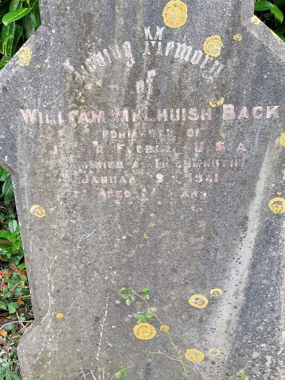 back wm usa