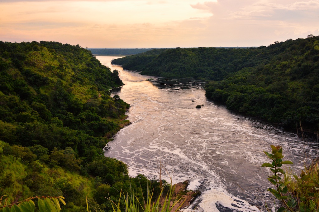 The Nile