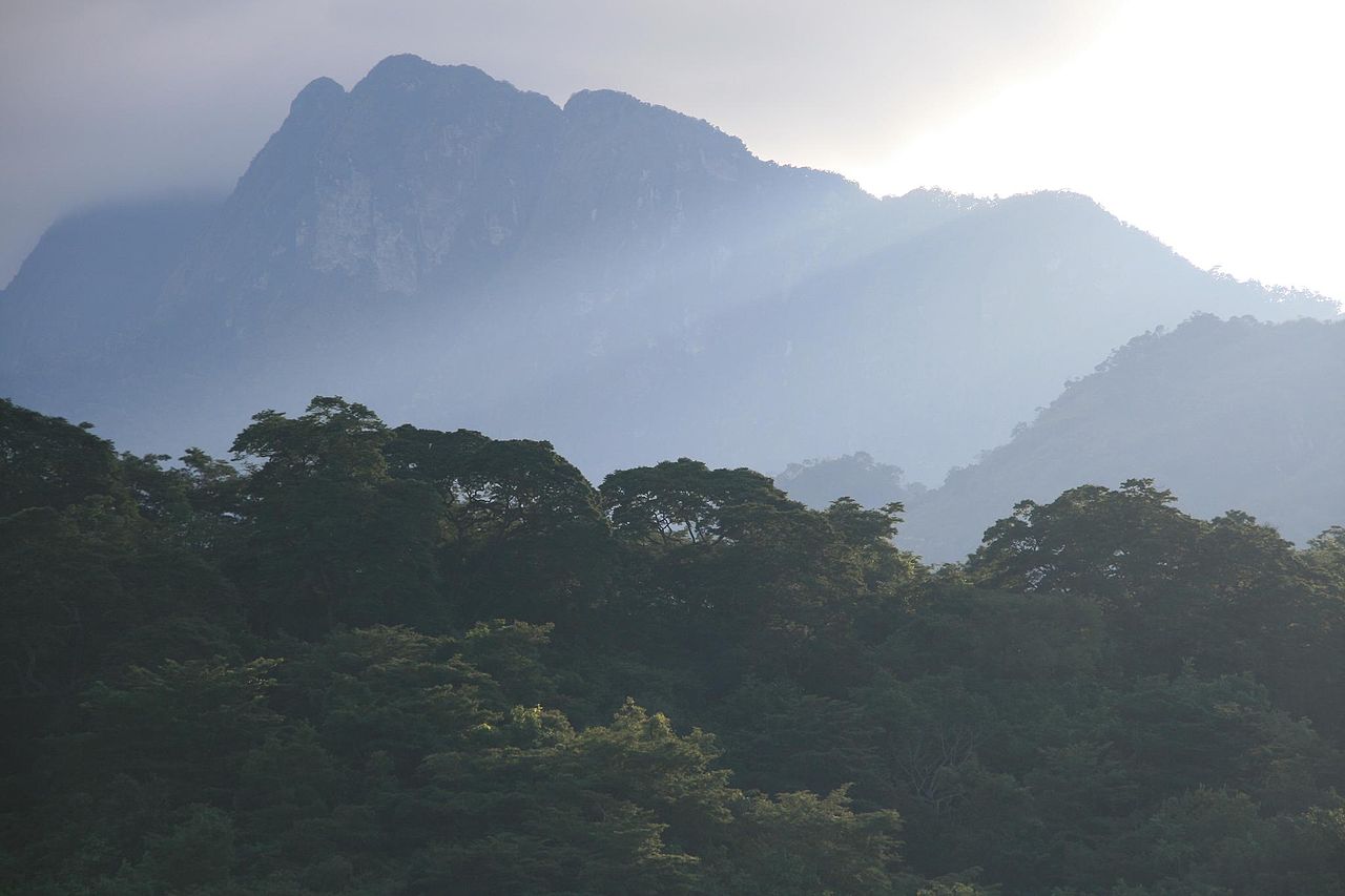 Udzungwa Mountains