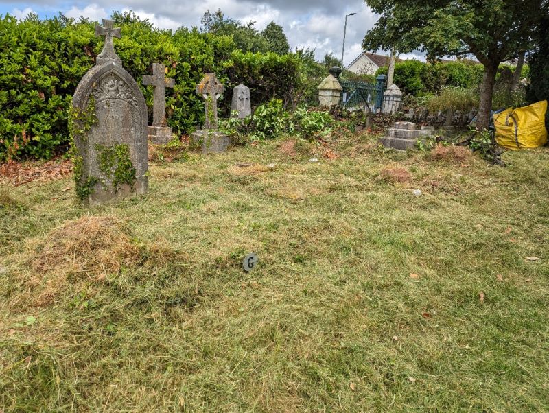section g after strim and clearance of most of the hedge cuttings