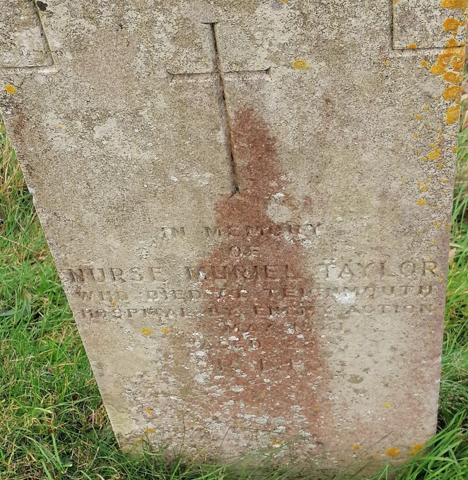 taylor mlg pic headstone